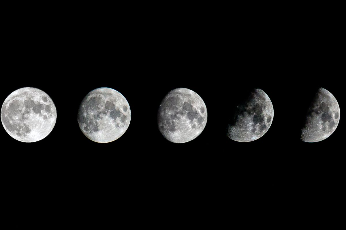 Calendrier du jardinier lunaire : la bonne période - Récolter, conserver et tailler selon les jours lunaires