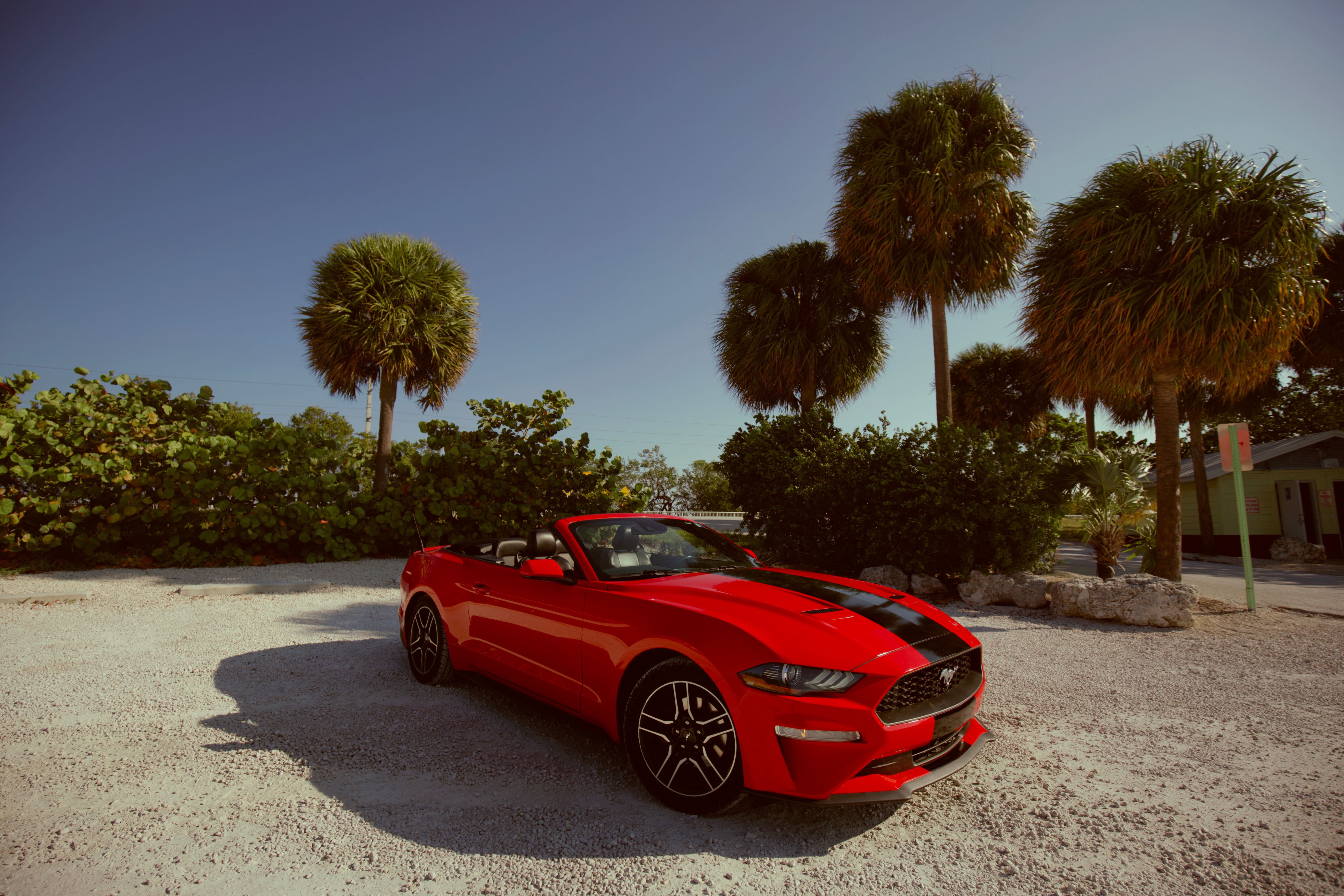 Miami Beach