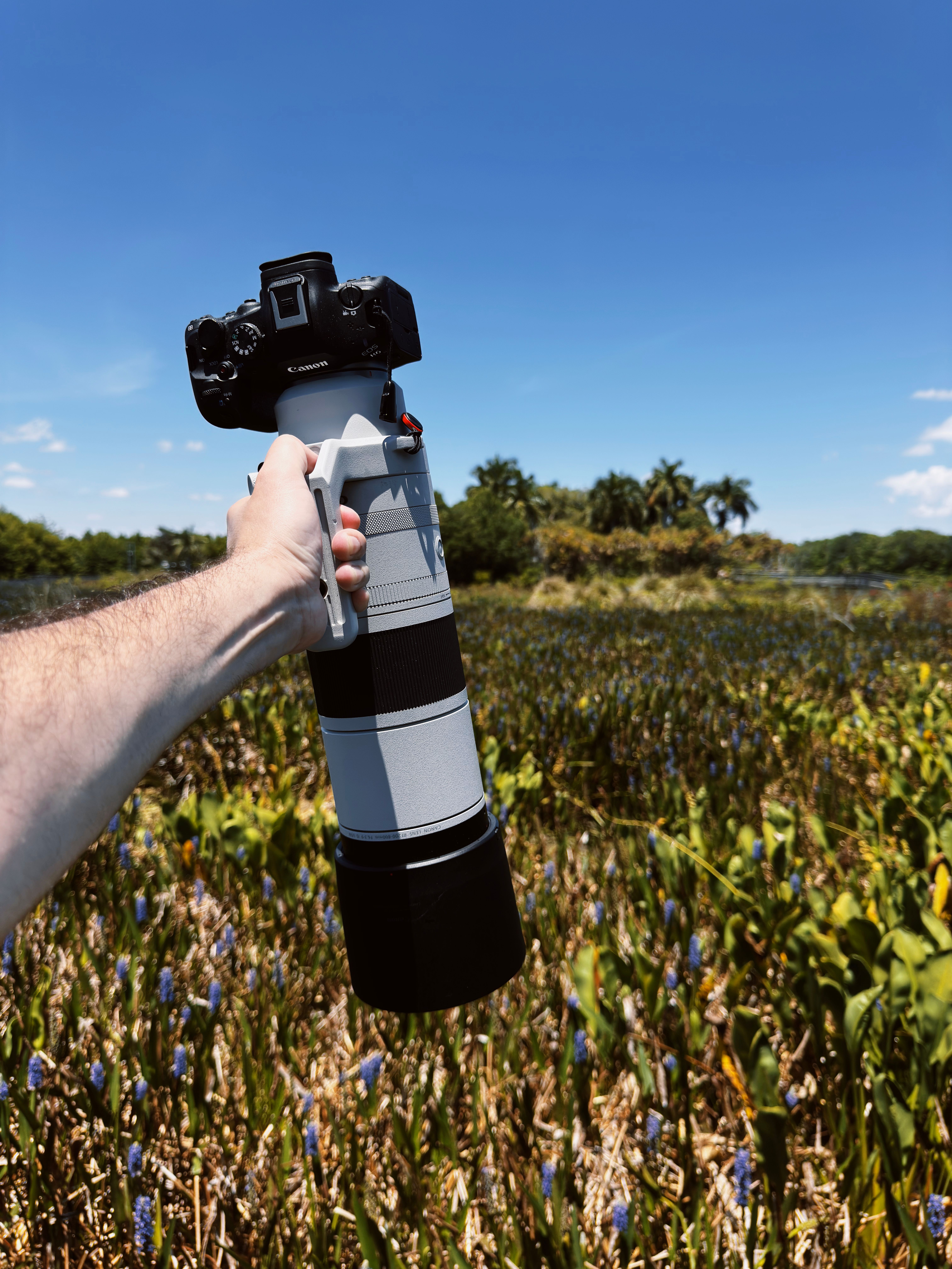 Photographer with large camera lens capturing a vibrant nature scene with clear blue sky.