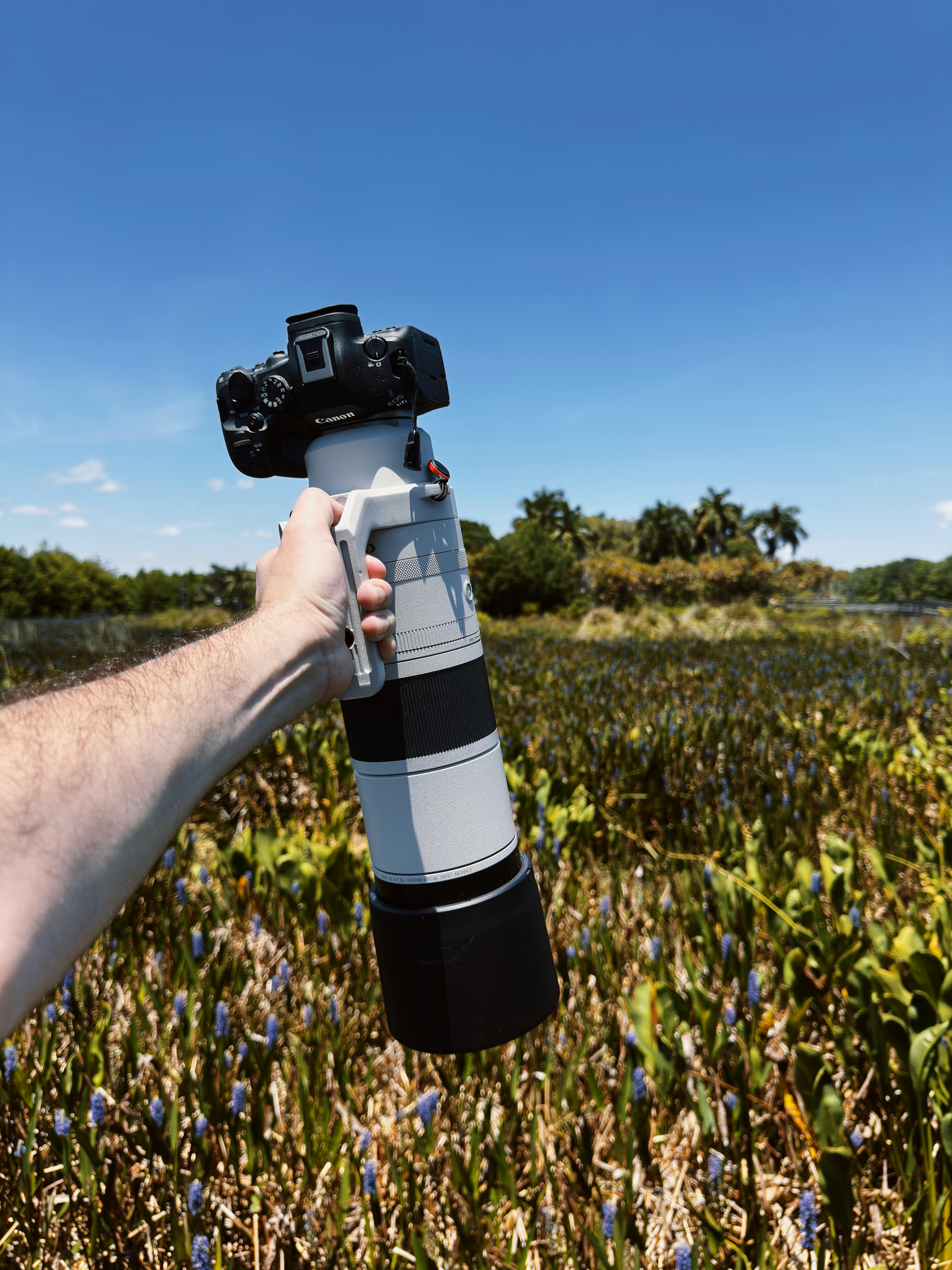 Hand holding a telephoto lens in a lush wetland area under a clear blue sky.