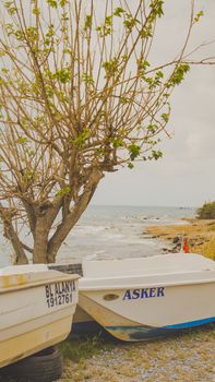 Small boats by a leafless tree on a rocky shore with a view of the sea.