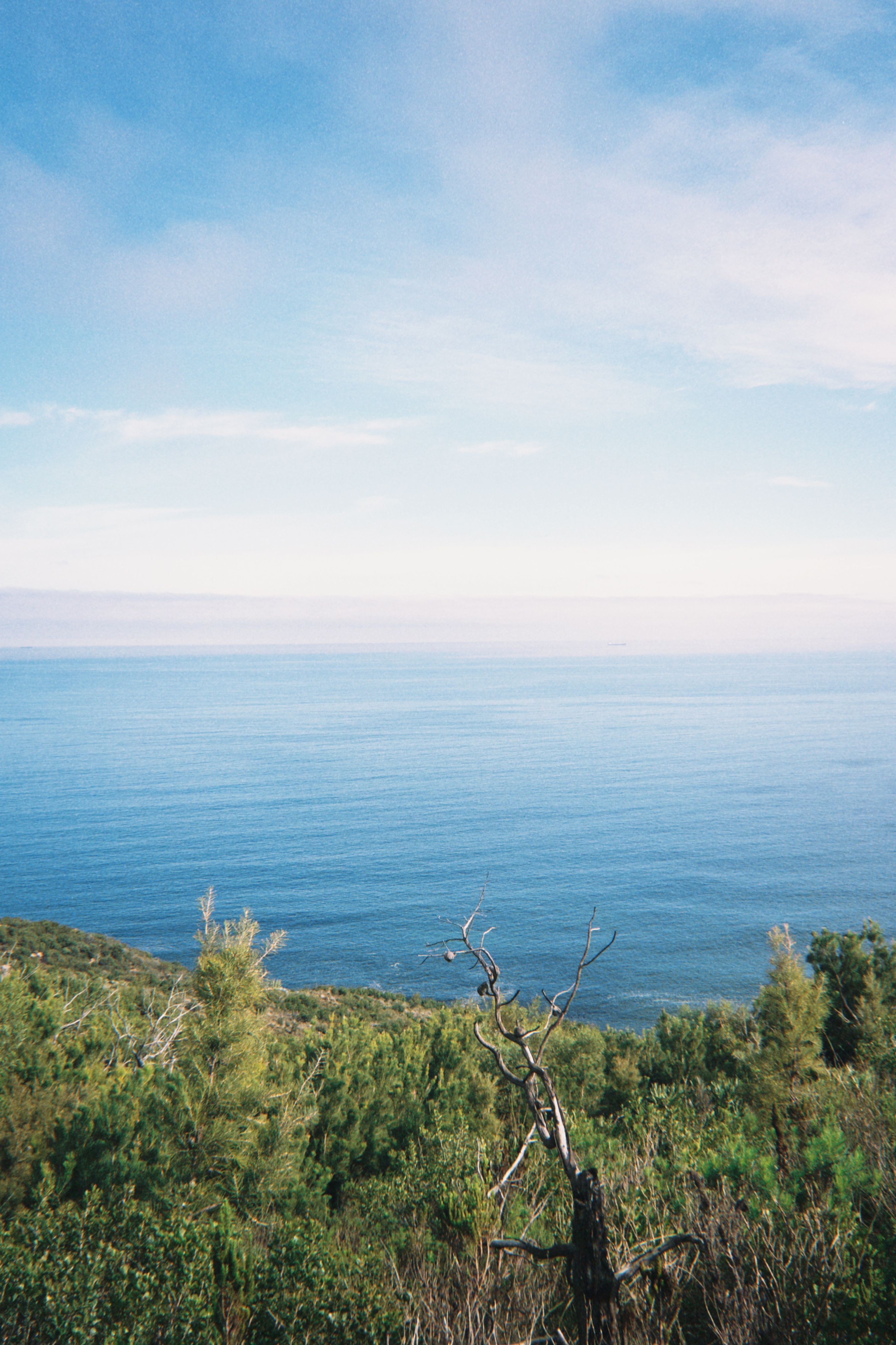 Tranquil ocean view from Cape Town hillside showcasing vibrant greenery and expansive sky.