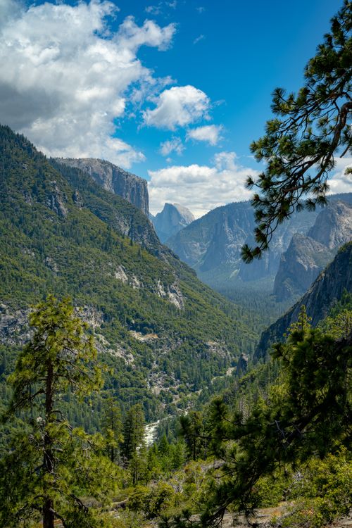 Free A breathtaking view of Yosemite Valley with lush greenery under a bright blue sky, highlighting its iconic cliffs. Stock Photo