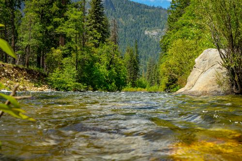 Free Peaceful river flowing through lush forest in California, offering a serene natural escape. Stock Photo