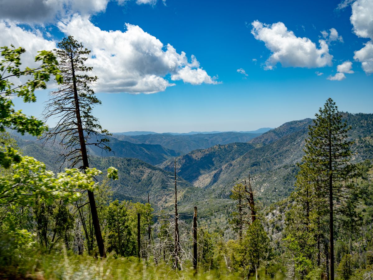 30 Day Midlife Fitness Transformation Retreat in Las Vegas, USA 3