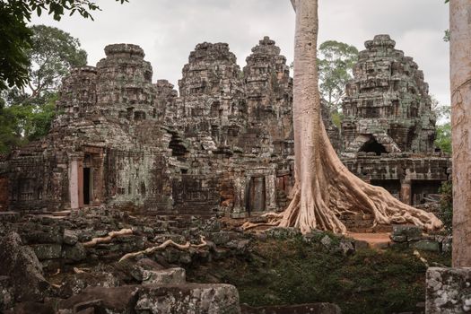 Majestic view of Ta Prohm Temple ruins overgrown with giant tree roots, capturing a mystical essence.