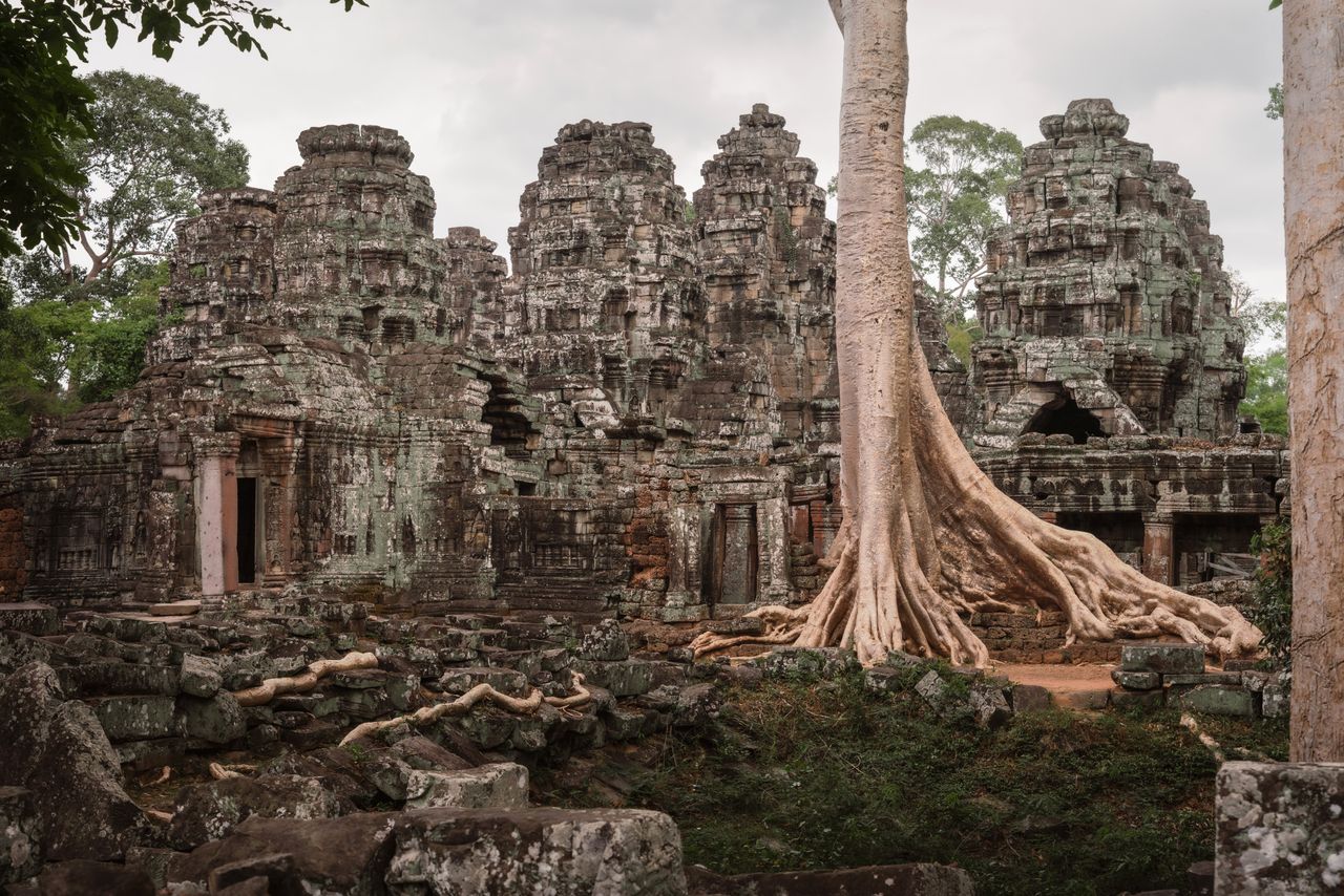 majestic view of ta prohm temple ruins overgrown with giant tree roots