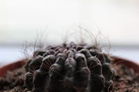 Hidrata&ccedil;&atilde;o