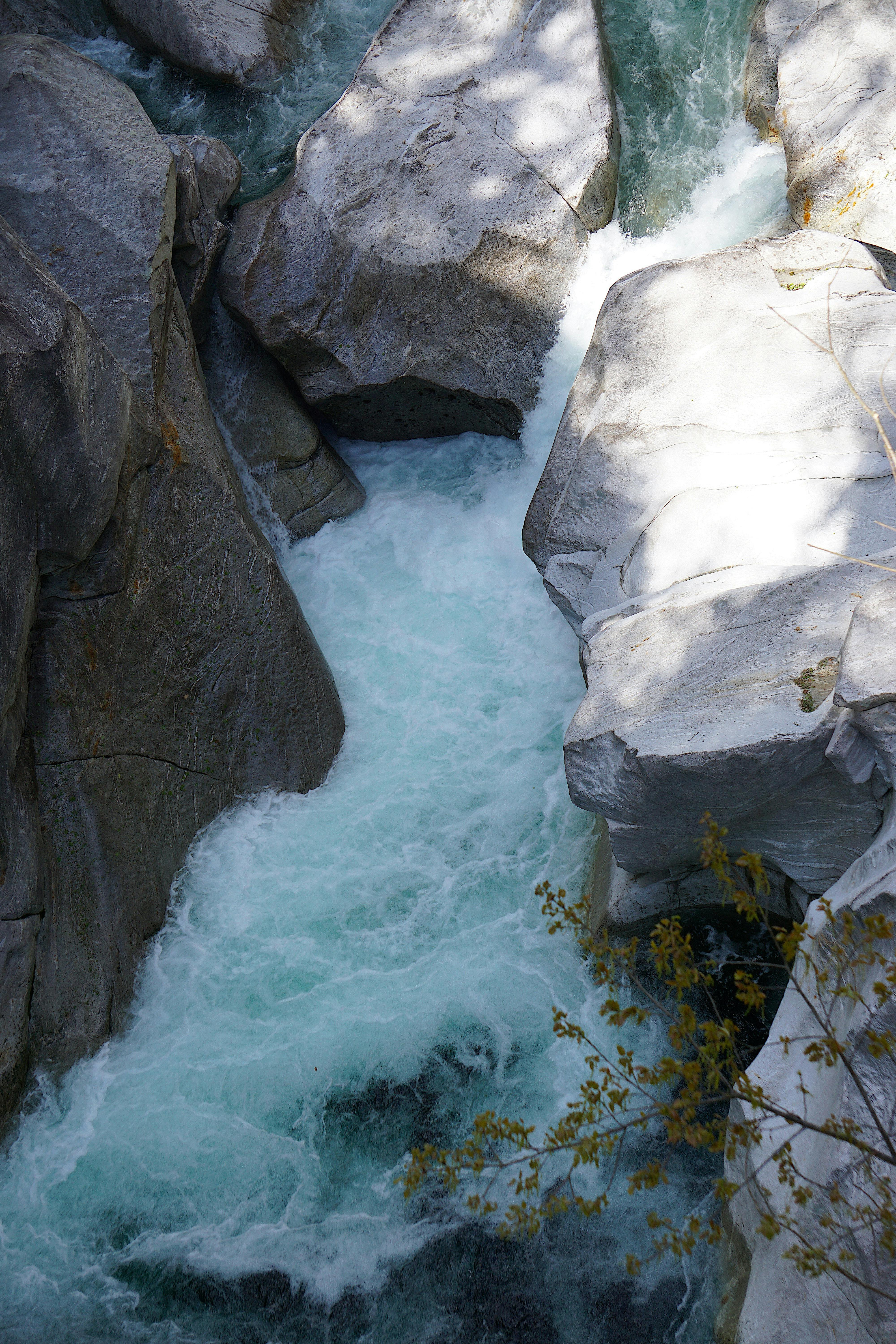 School Library Management