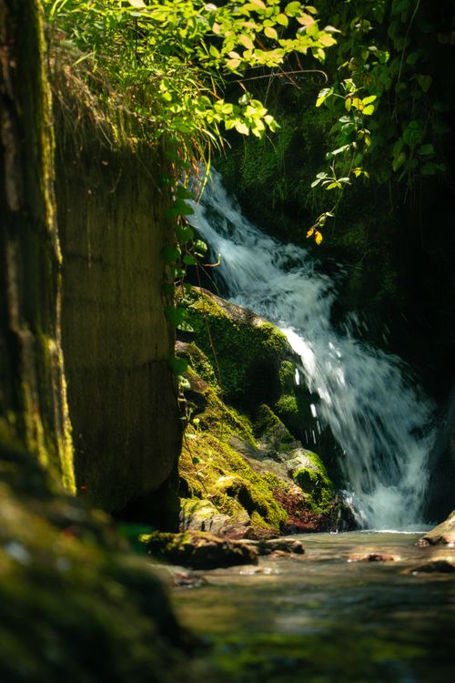 Free A serene waterfall cascading over moss-covered rocks in a lush, green forest setting. Stock Photo