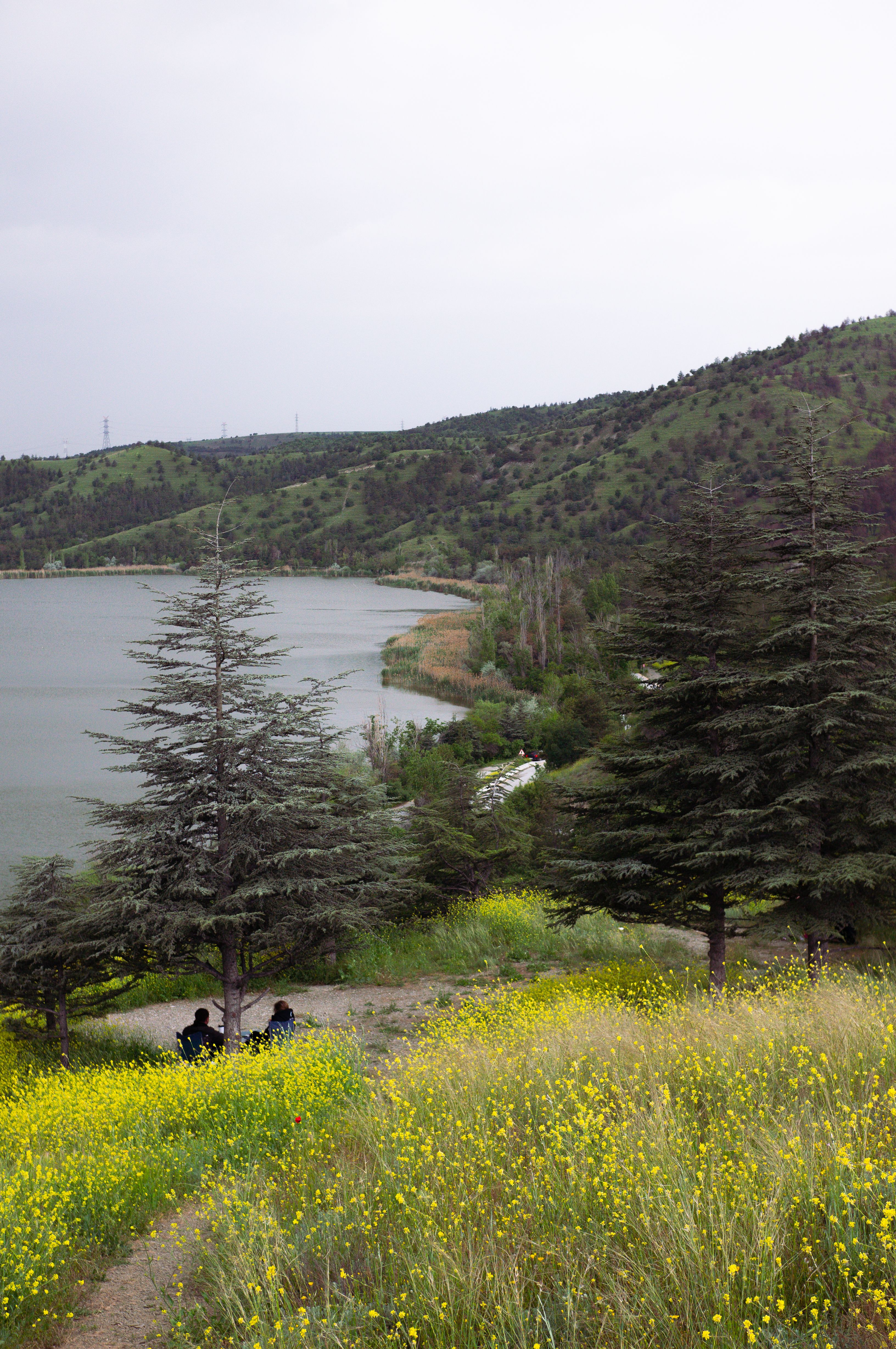 A serene spring landscape featuring a lake, hills, and vibrant flowers under a cloudy sky.