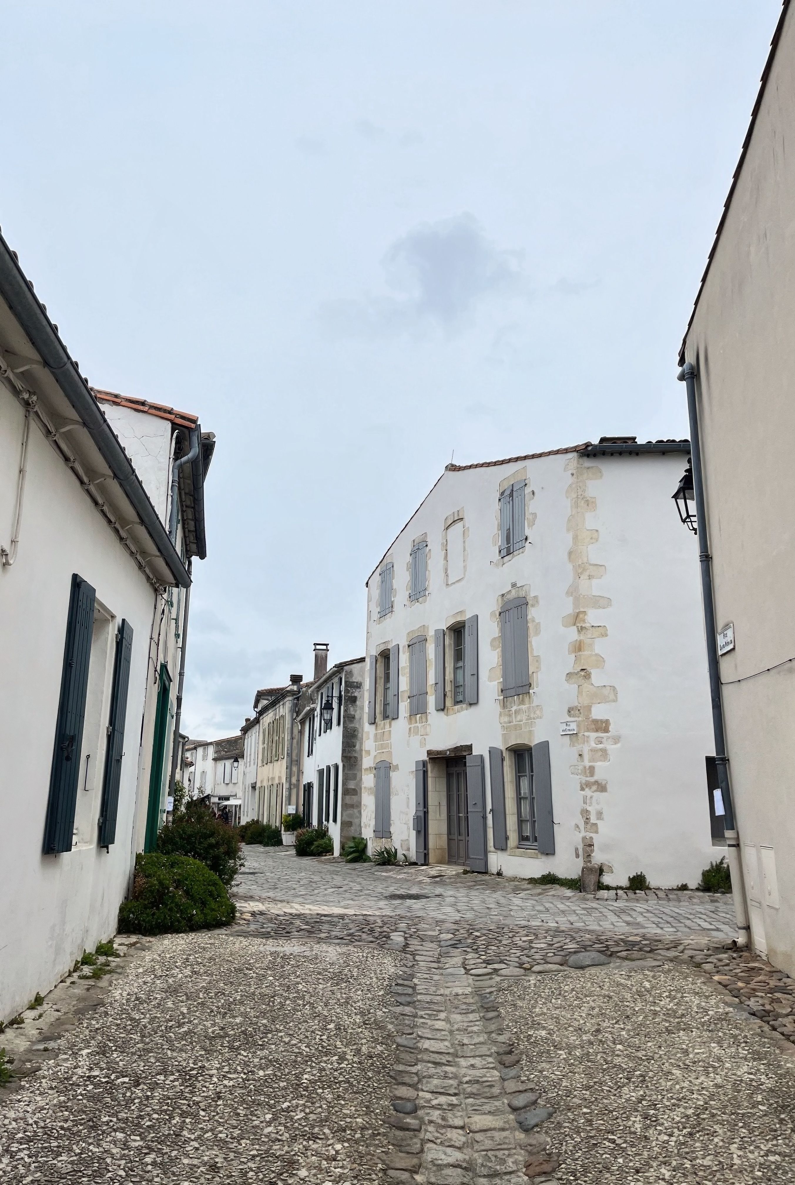 Quaint cobblestone street lined with classic French architecture in Nouvelle-Aquitaine.