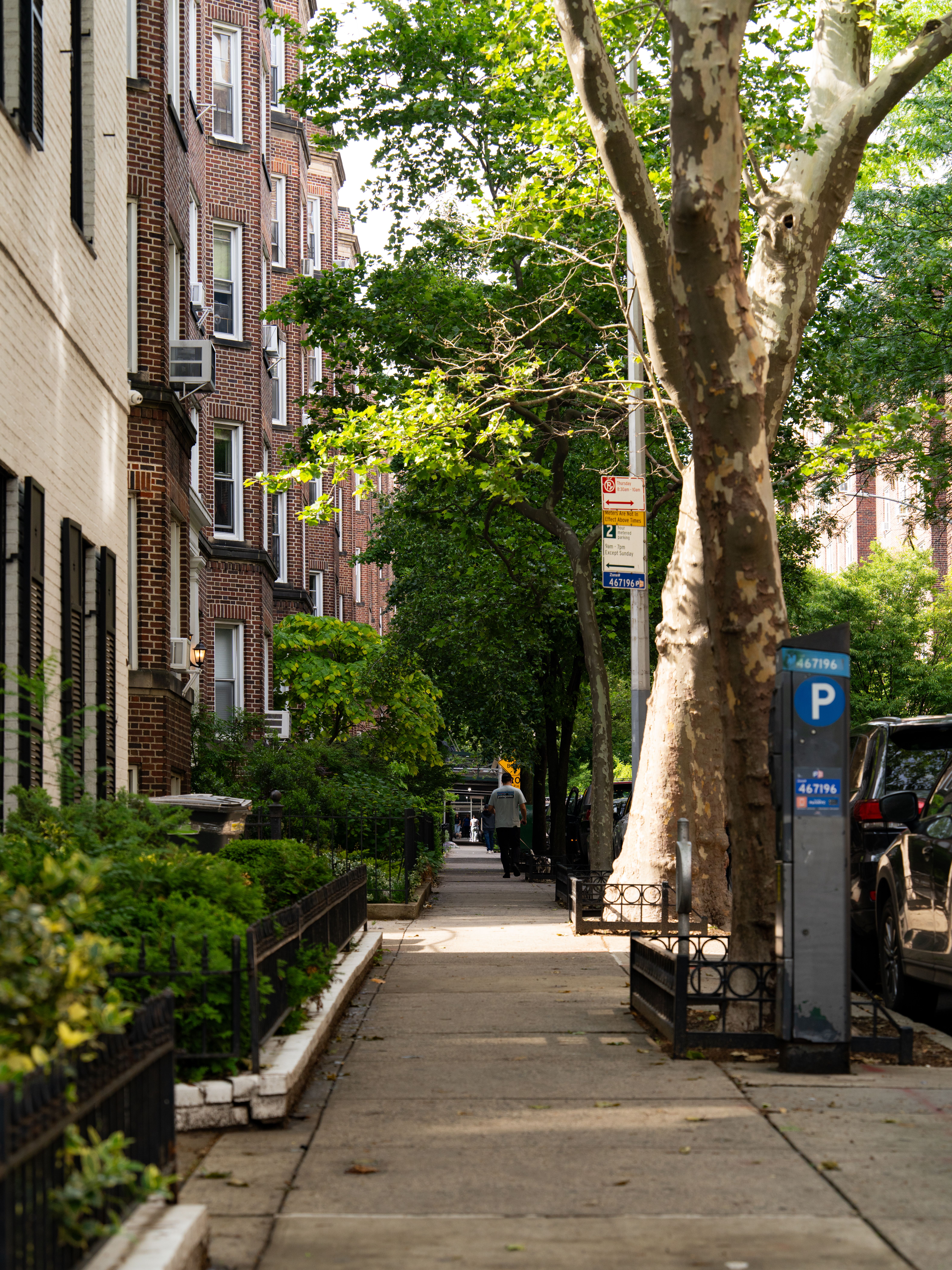 Quaint Brooklyn street lined with classic brownstones and summer greenery, a real stock photo that sets the scene for Girls, the HBO series about friends in New York City whose story begins in Brooklyn