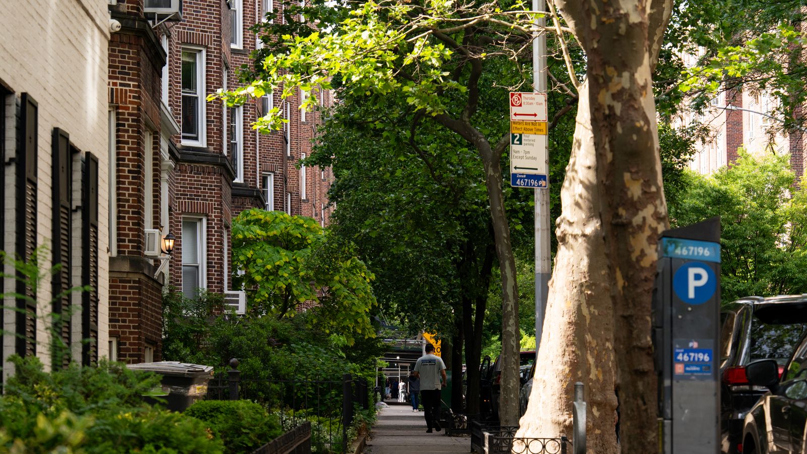 Quaint Brooklyn street lined with classic brownstones and summer greenery, a real stock photo that sets the scene for Girls, the HBO series about friends in New York City whose story begins in Brooklyn