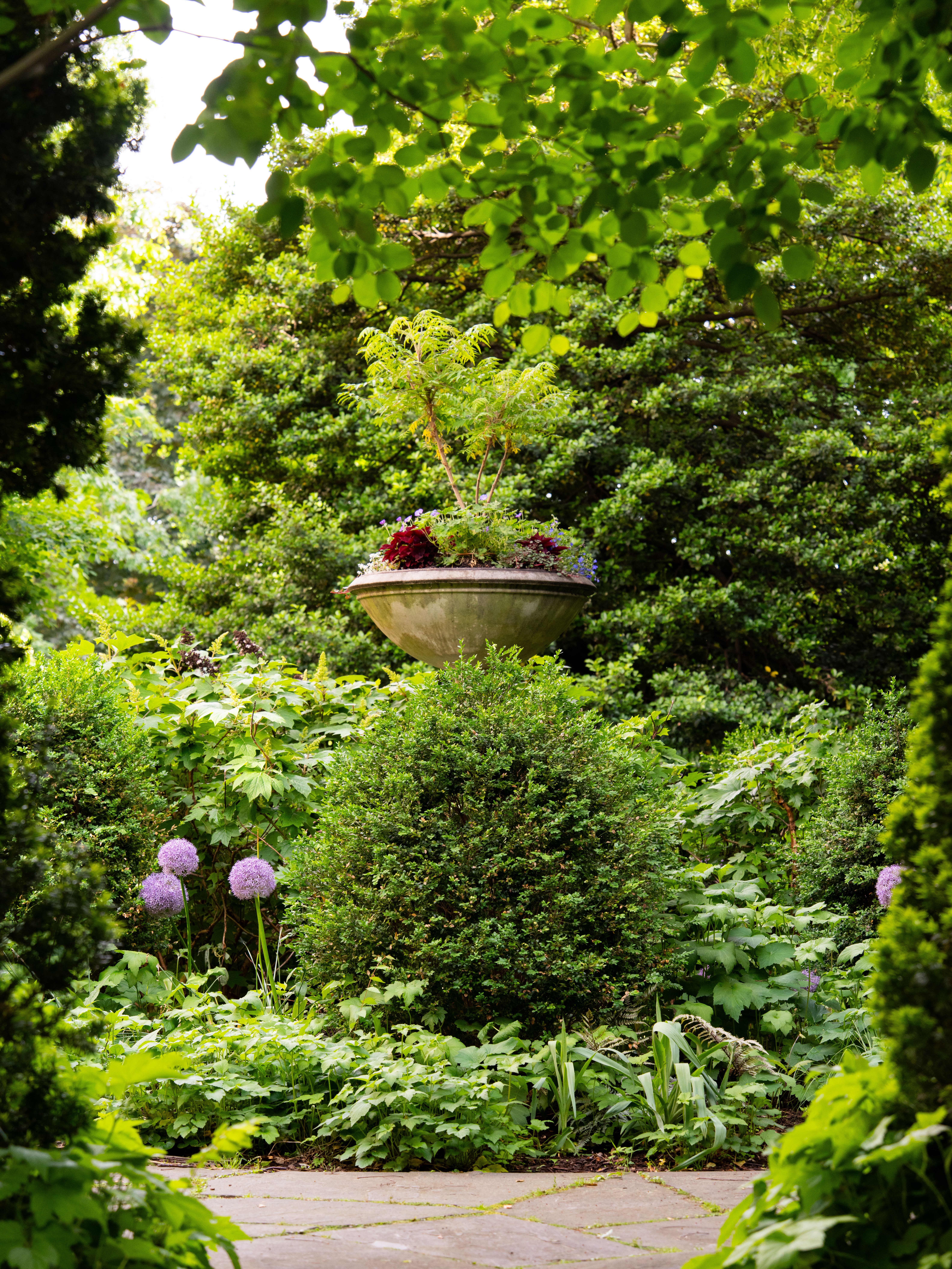 Vibrant summer garden with lush greenery and floral centerpiece in New York.
