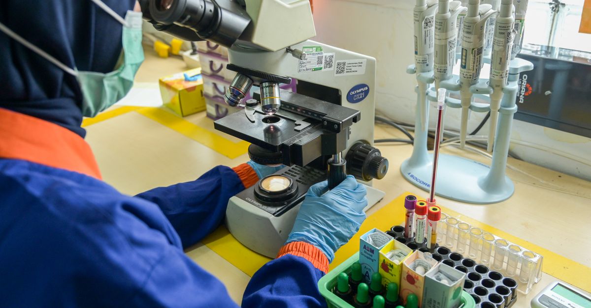Molbio Diagnostics IPO: A High-Risk Bet for Long-Term Gains?