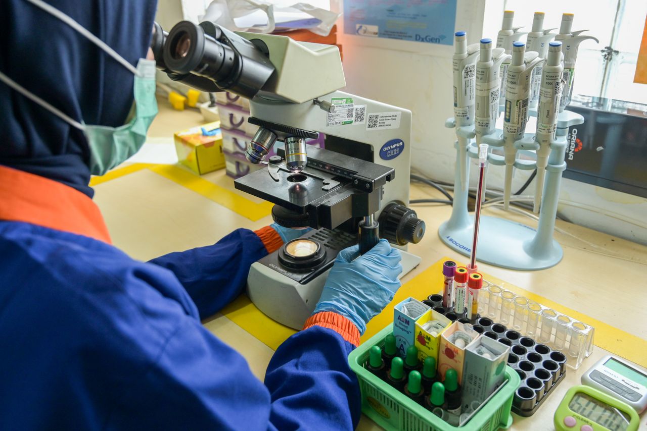 Study Identifies Immune Protein C3 as Potential Target for Anti-Aging