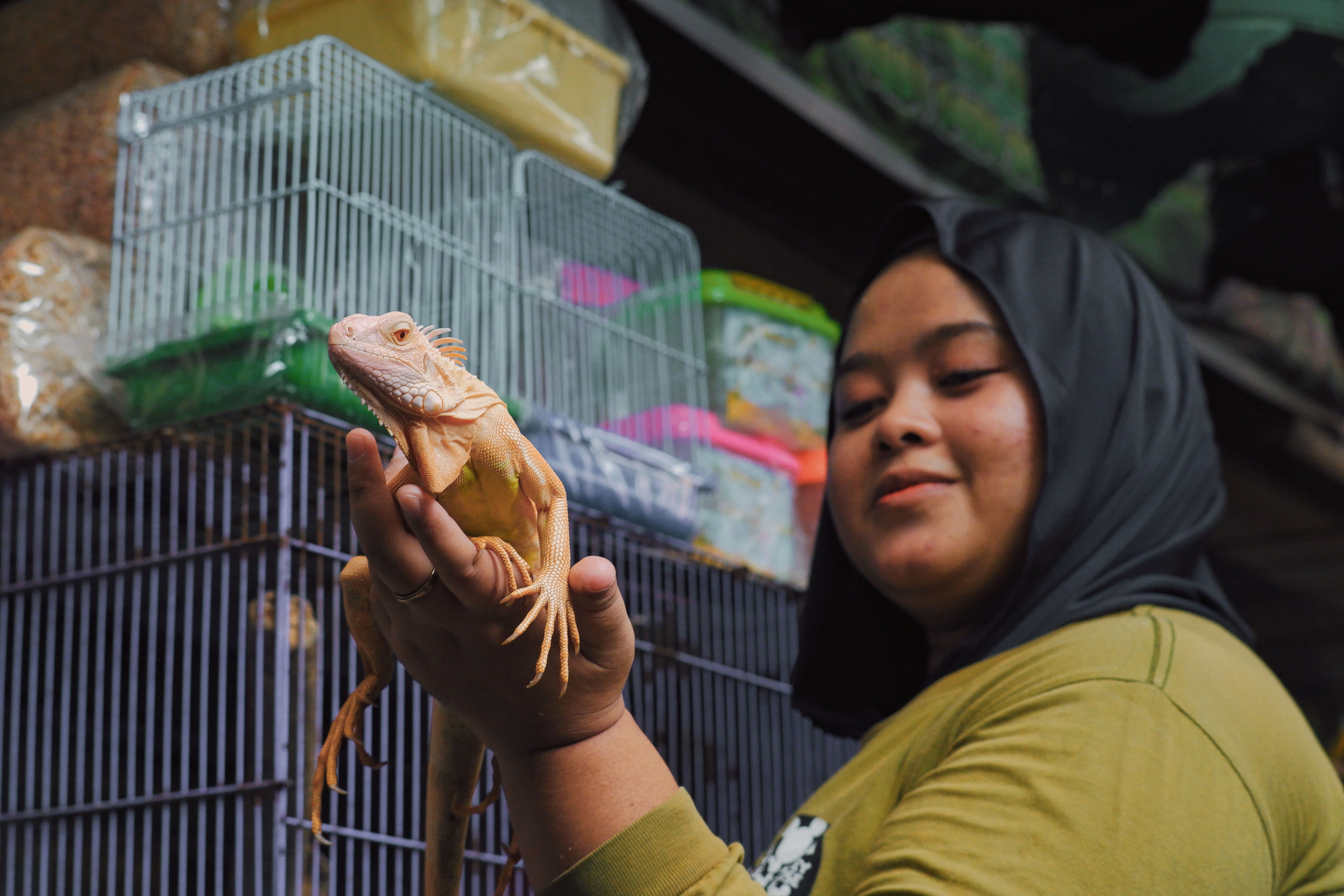 Potret seorang wanita di pasar yang memegang iguana albino, menampilkan kehidupan yang semarak di Jawa Barat, Indonesia.
