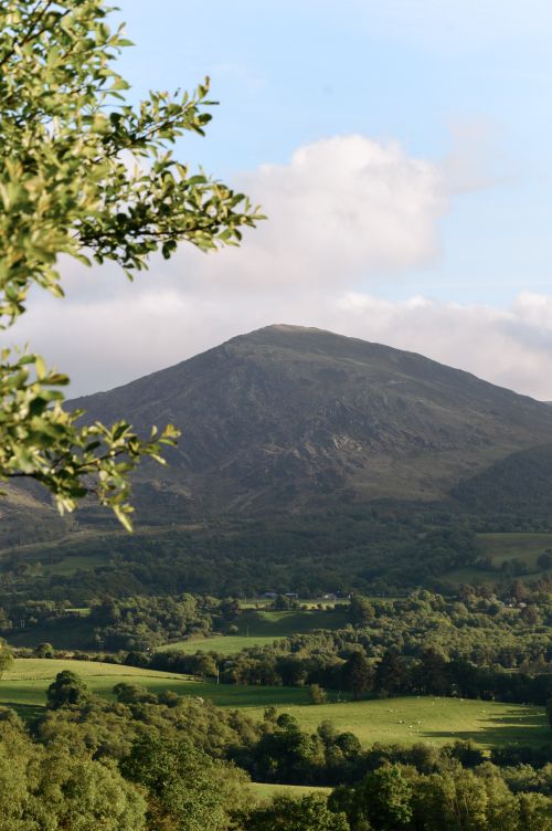 Free Lush green landscape with a mountain view in Kilgarvan, Ireland during summer. Stock Photo