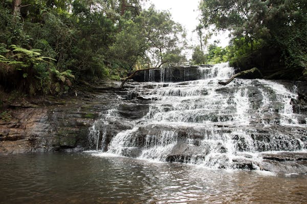 The Importance of Quranic Arabic