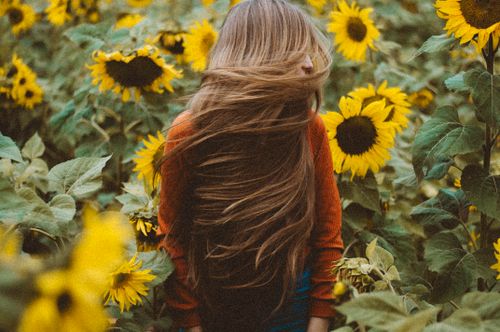 Free A woman with flowing hair stands amidst blooming sunflowers, creating a vibrant summer scene. Stock Photo