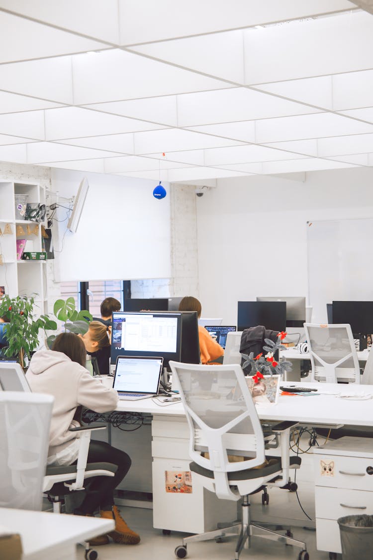 People Sitting On White Chairs In Front Of Computer Monitor