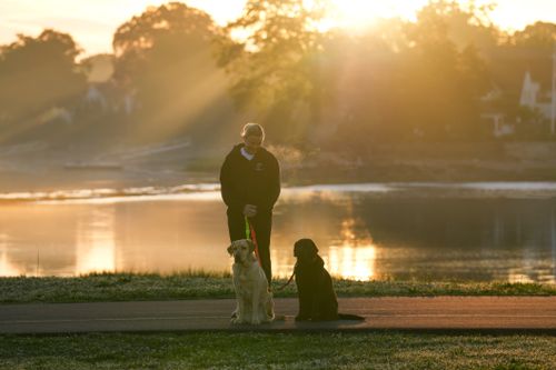 Free A serene morning walk with two dogs by a lake as the sun rises, casting warm light. Stock Photo