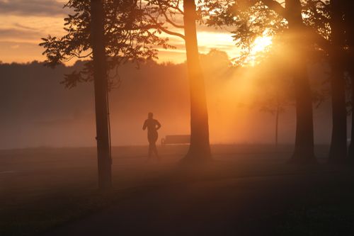 Free A jogger running through a park during a misty sunrise, creating a serene silhouette. Stock Photo