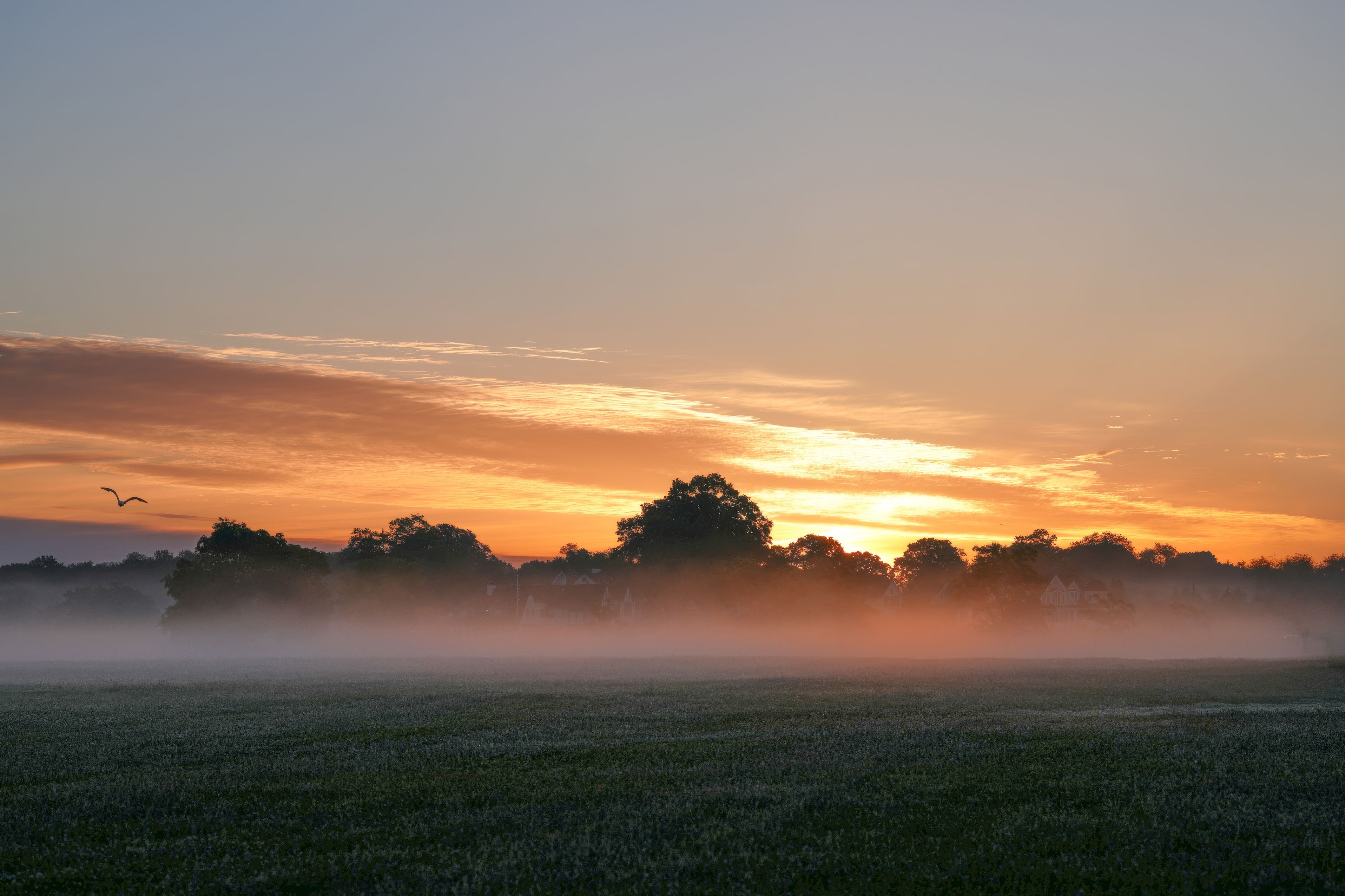 A peaceful sunrise over a misty green landscape