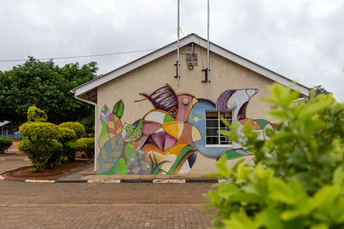 Free A vibrant mural decorates the side of a building in Mochudi, Botswana, outdoors. Stock Photo