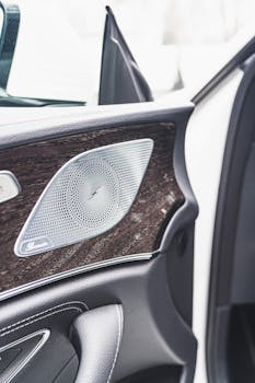 豪华车门特写，配备时尚扬声器和皮革装饰