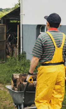 A person in bright yellow overalls transports firewood with a wheelbarrow in a rural setting.