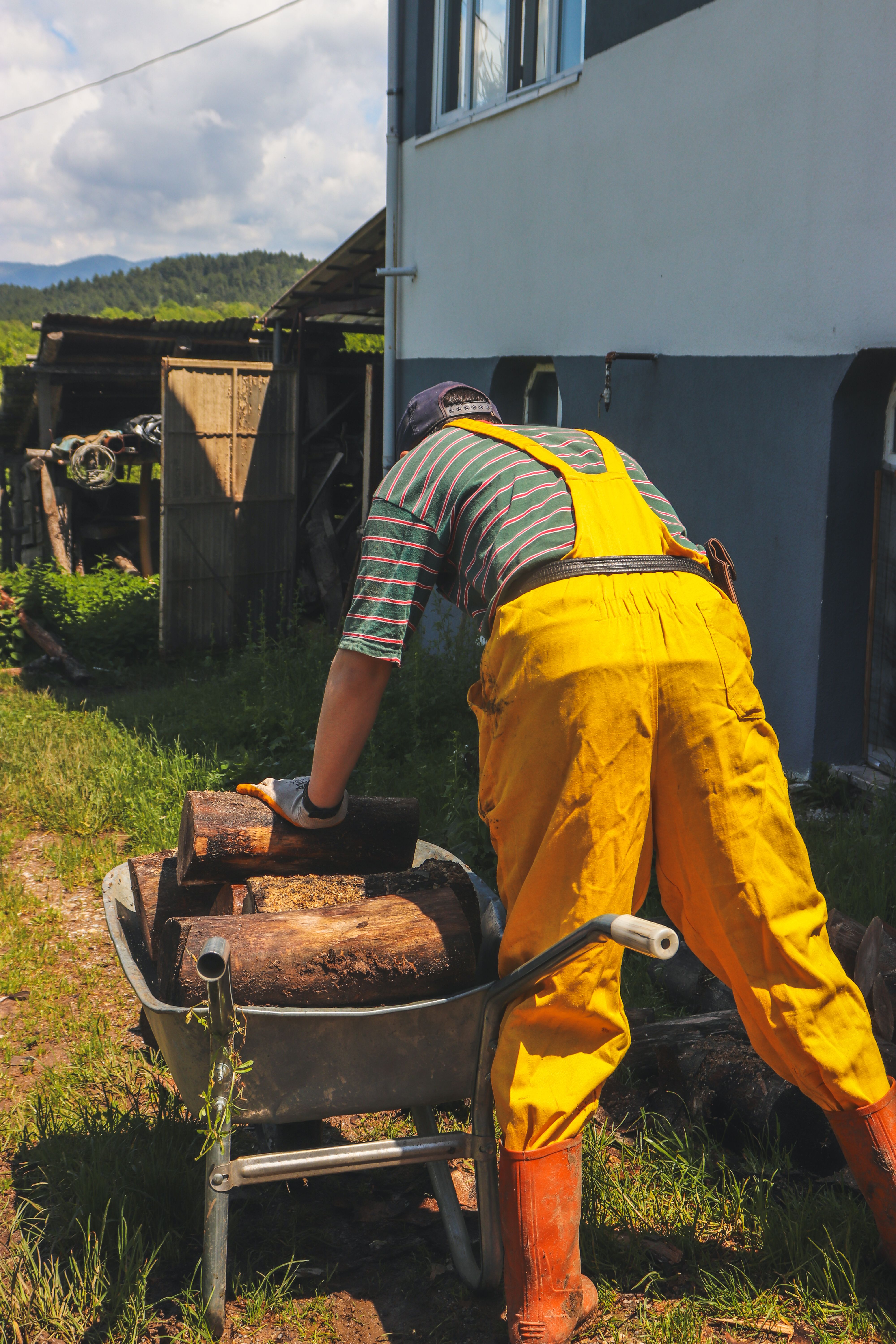 A man wearing yellow overalls loads logs into a wheelbarrow outdoors in a sunny garden.
