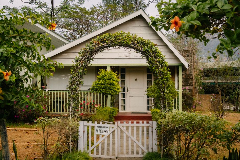 garden arch for climbing plants