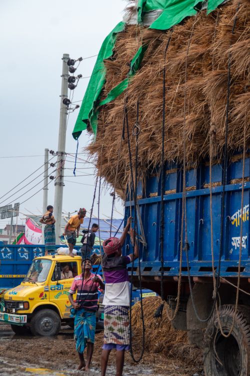 Street Laborers Men Working on Street · Free Stock Photo