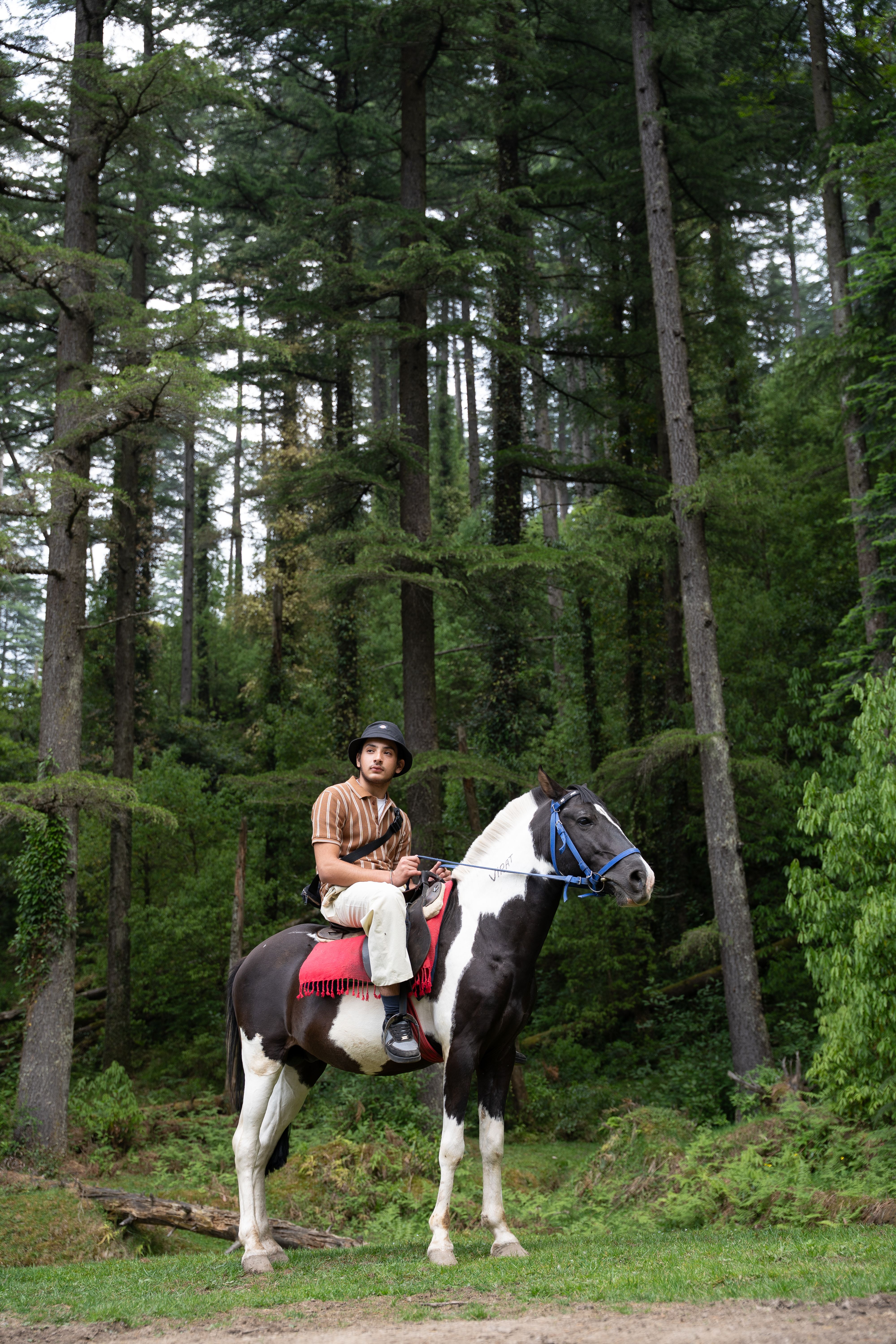 Man on horseback in a dense forest setting, depicting nature exploration and adventure.