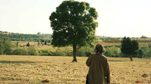 Free Woman walking in rural landscape with trees, exploring nature's serenity. Stock Photo