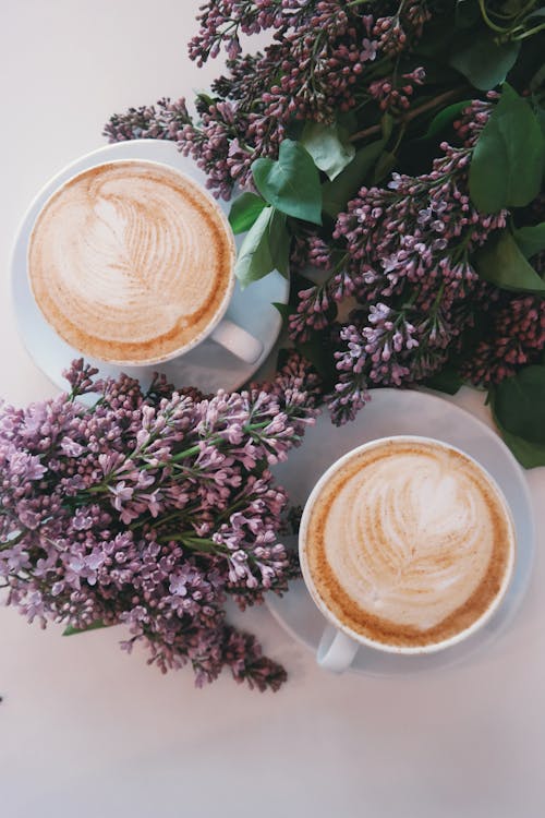 Deux Tasses De Café Au Lait Sur Des Soucoupes