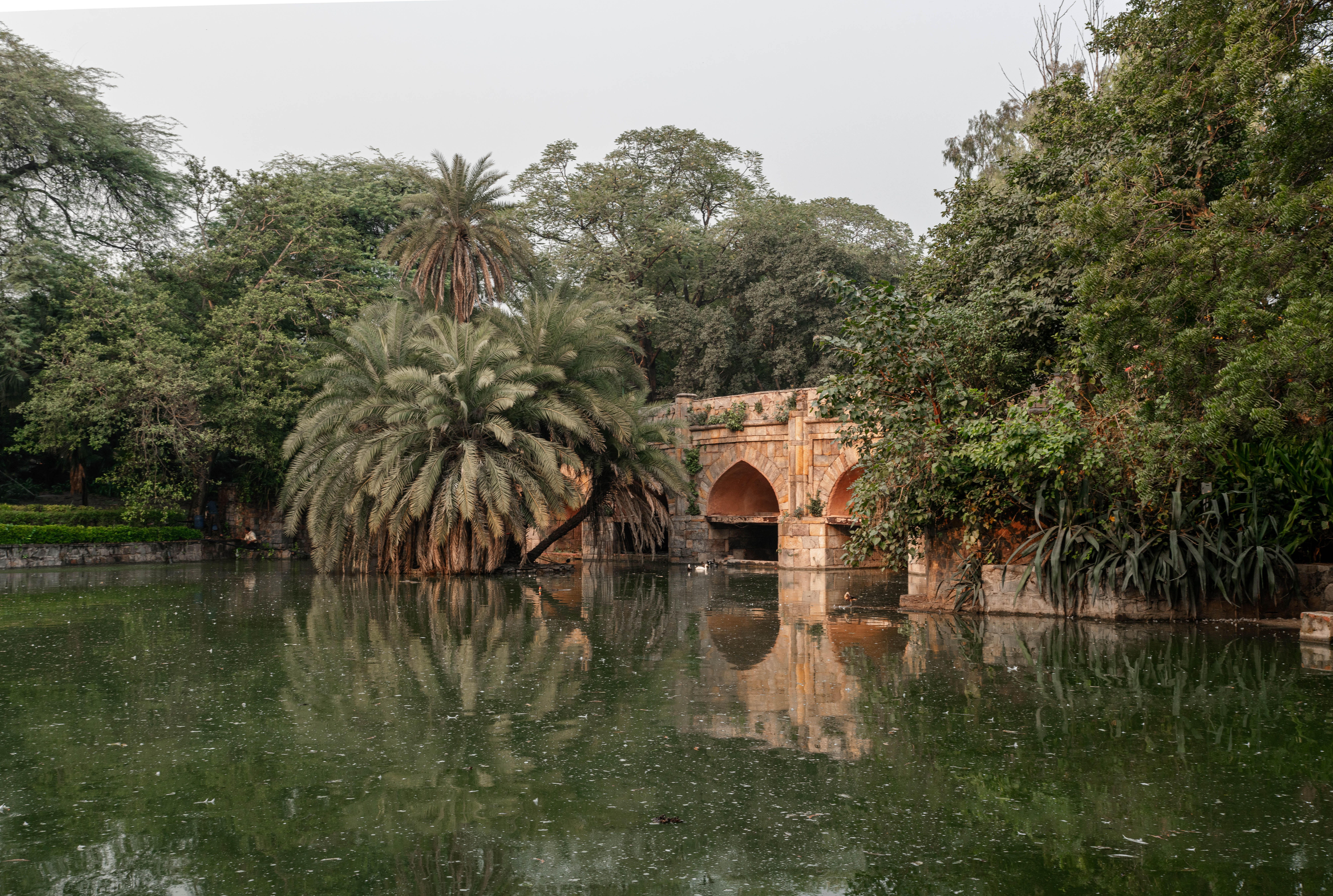 Walk the lake at Japanese Park, Sector 10
