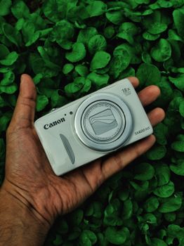 Top view of a hand holding a compact camera over lush green foliage, showcasing nature and technology.