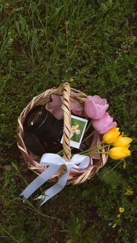 Wicker basket on grass with tulips, camera, and photo in Türkiye setting.