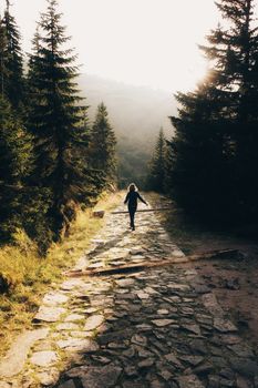 A lone traveler walks down a sunlit forest path in Karpacz, Poland, surrounded by tall trees.