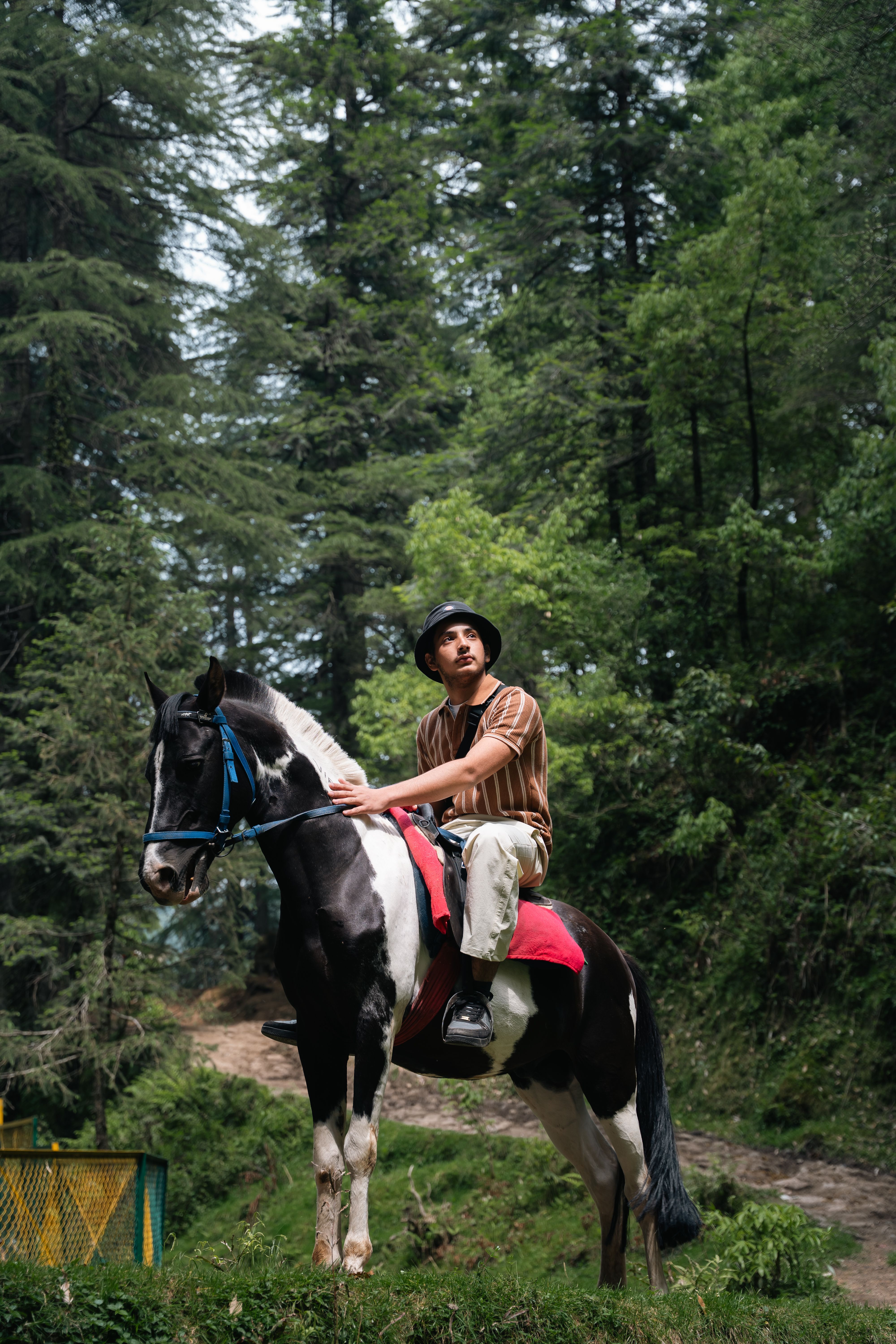 A man on horseback in a lush green forest in Dalhousie, India, showcasing adventure and nature.