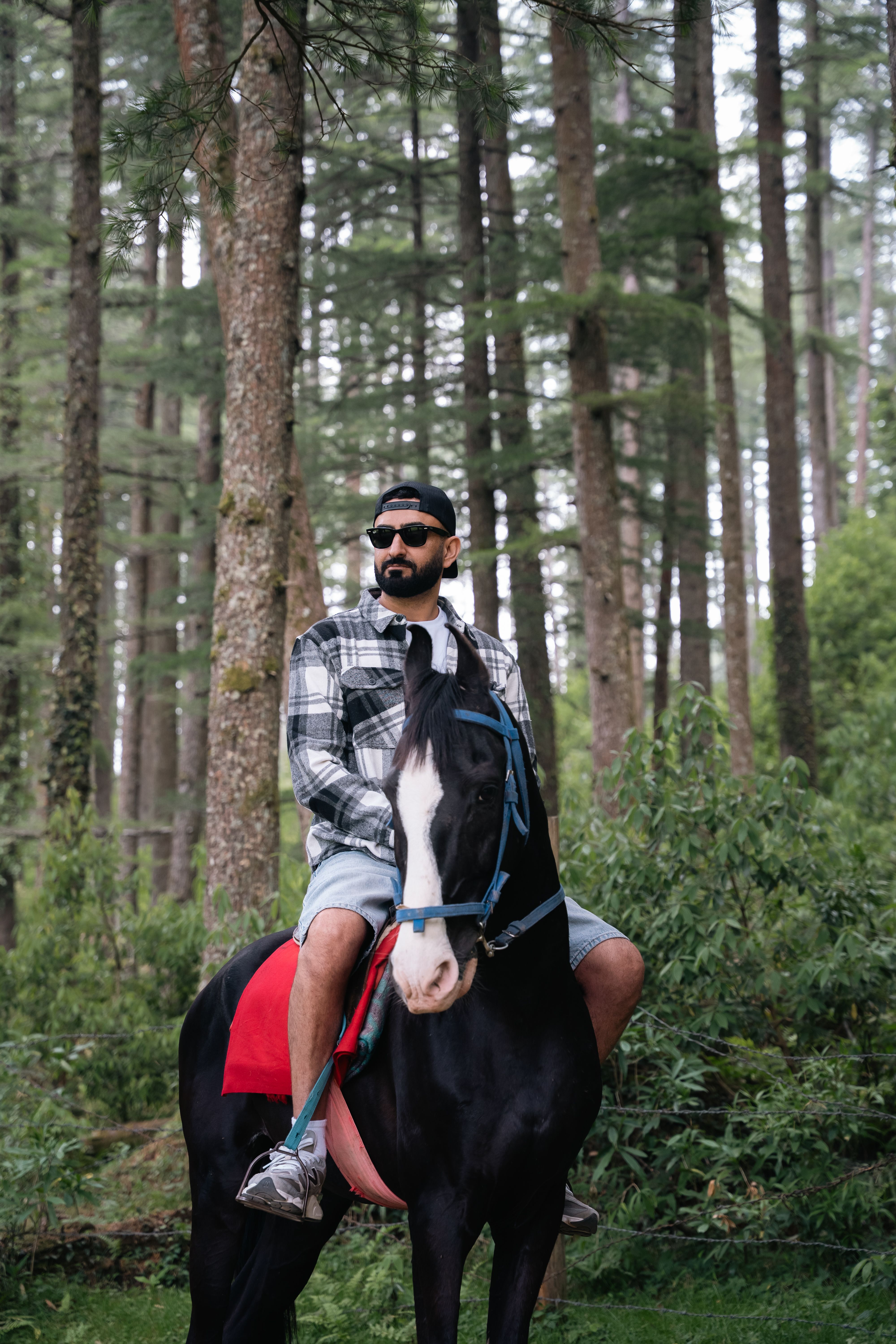 A man in casual attire rides a horse through the lush forests of Dalhousie, India.