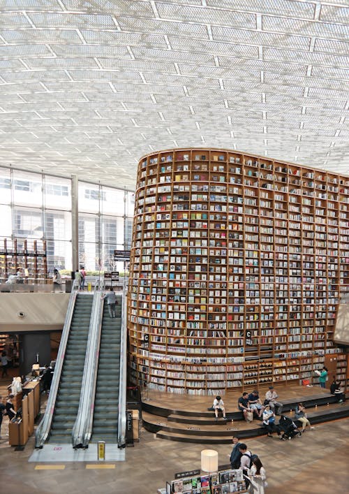 бесплатная Люди читают книги в библиотеке Стоковое фото