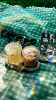 Relaxing outdoor picnic scene with coffee, laptop, and vintage camera on a checkered blanket.
