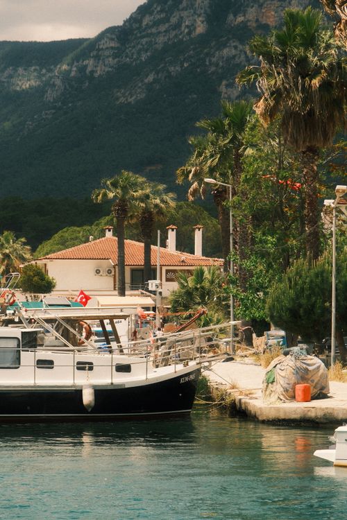 Free Serene harbor scene featuring a boat docked near palm trees, with a mountain backdrop. Stock Photo