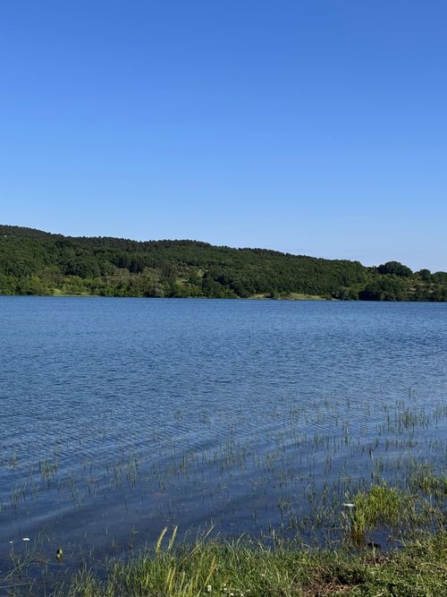 Free Peaceful lake scene with lush greenery under clear blue skies, perfect for nature themes. Stock Photo