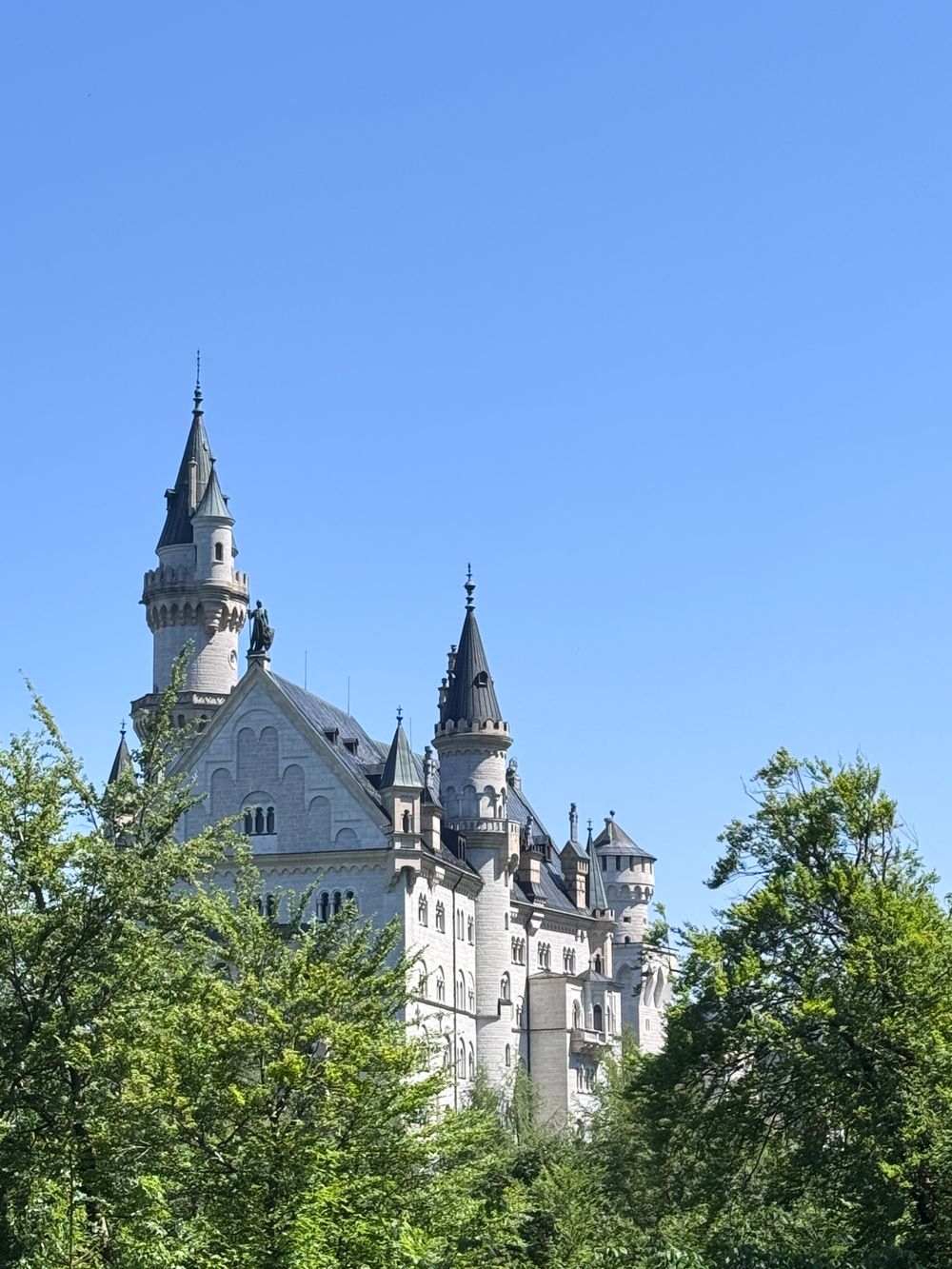 Neuschwanstein Castle Day Trip
