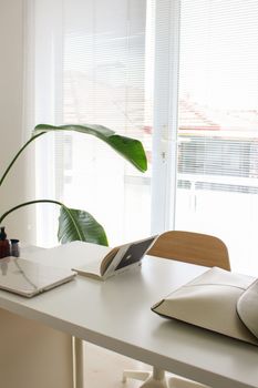 A minimalist office setup with natural light and a large green plant in Kocaeli, Türkiye.